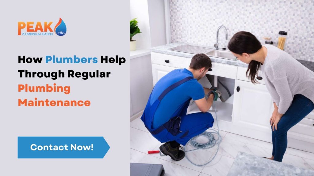 Plumbing Maintenance
